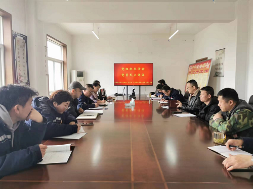 山西省盐业公司塑料厂、太原晋欣畜牧盐有限公司 两厂组织开展2022年度组织生活会和开展民主评议党员大会